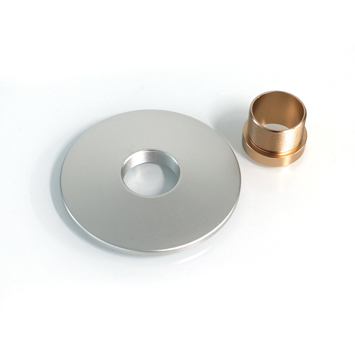 Guard Disc with Brass Collar in silver