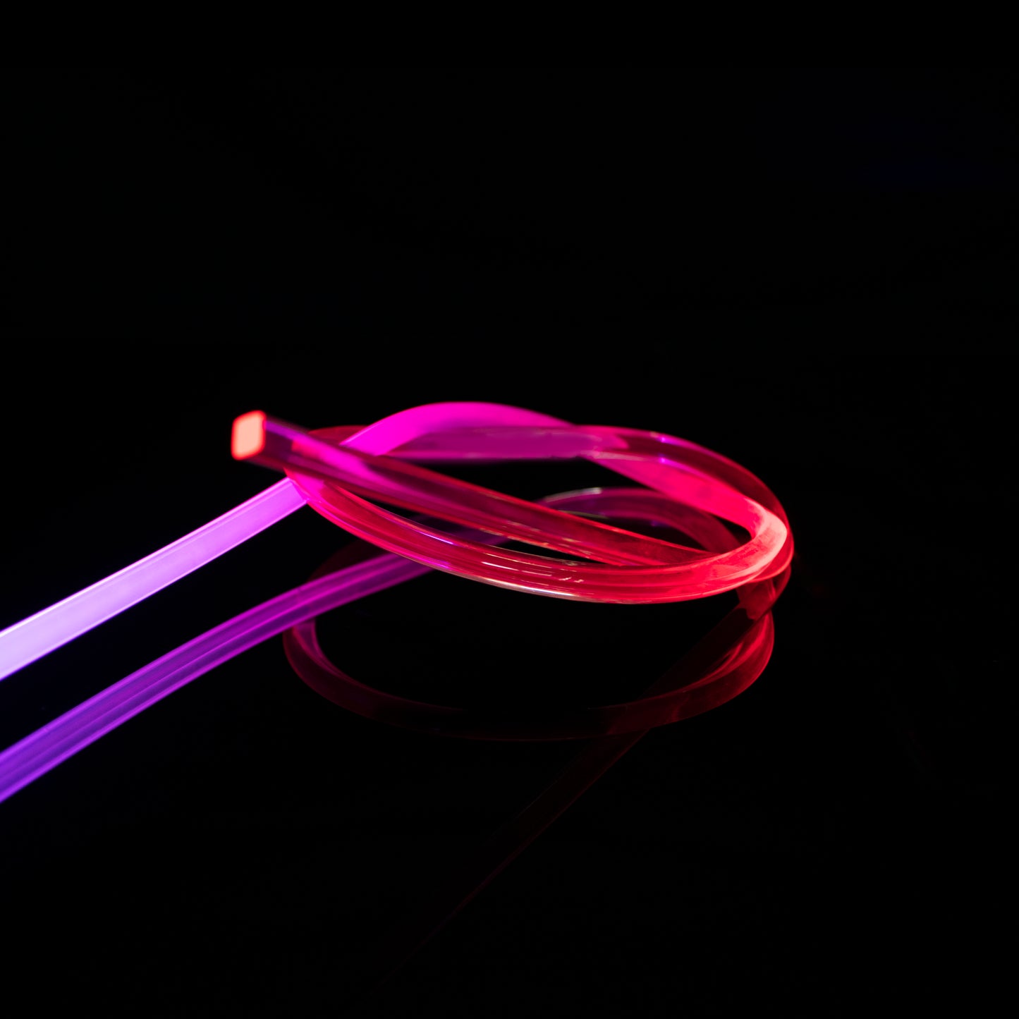 Saber Whip