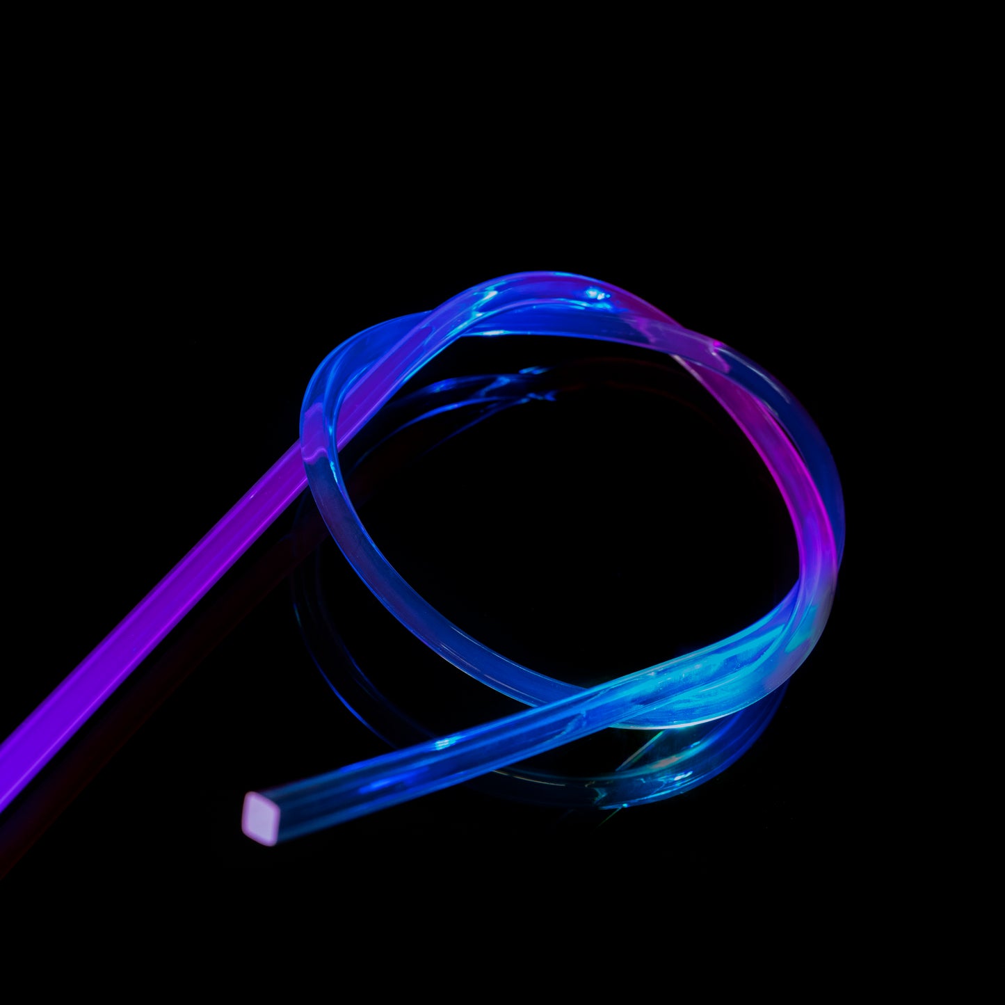 Saber Whip